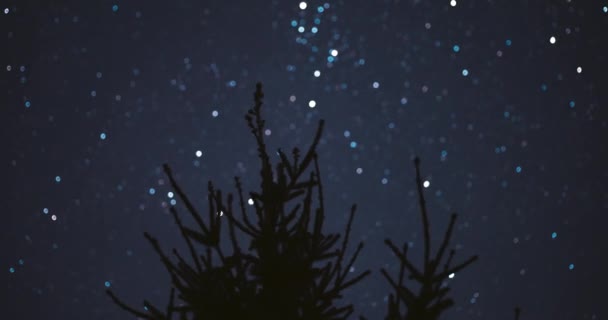 スプルーストップの背景に夜空に星の動きのタイムラプス — ストック動画