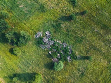 Yazın Quadcopter 'ın yüksekliğinden ormana yakın çöplük.