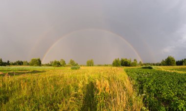 Bir yaz günü gökkuşağı manzarasının geniş bir manzarası.
