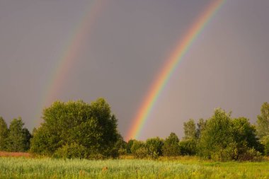 Gökkuşağı ormanın üzerinde yükseliyor