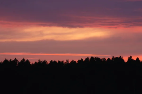 Алое Небо Закате Над Лесом Красивыми Облаками — стоковое фото