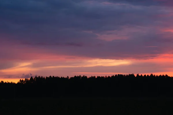 Scharlachroter Himmel Bei Sonnenuntergang Über Dem Wald Mit Schönen Wolken — Stockfoto