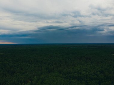 Yeşil ormanın tepesindeki kasvetli bulutlar