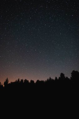 Ormanın üzerinde yıldızlı gökyüzü ve yaz gecesinde uçan meteor.