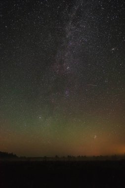 Ormanın üzerinde yıldızlı gökyüzü ve yaz gecesinde uçan meteor.