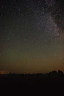 Ormanın üzerinde yıldızlı gökyüzü ve yaz gecesinde uçan meteor.