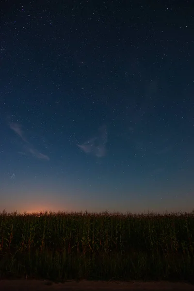 Hvězdné Nebe Nad Kukuřičným Polem Letní Noci — Stock fotografie