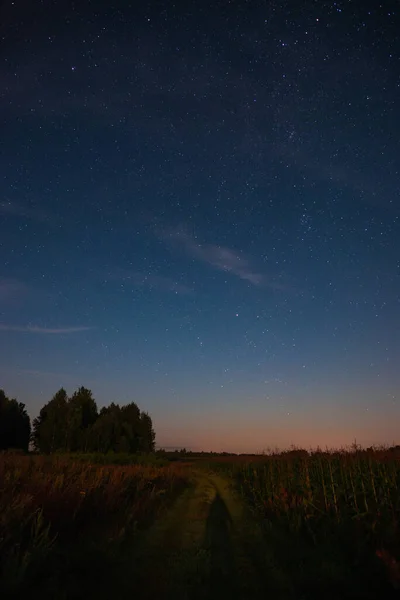 Hvězdná Obloha Nad Cestou Poli — Stock fotografie