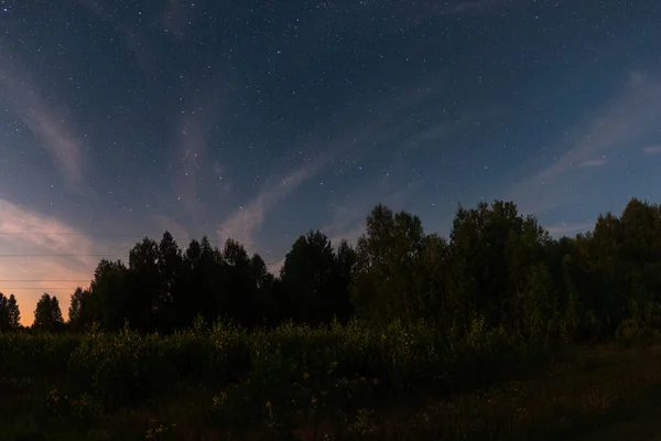 Αστρικός Ουρανός Πάνω Από Δάσος Καλοκαιρινή Νύχτα — Φωτογραφία Αρχείου