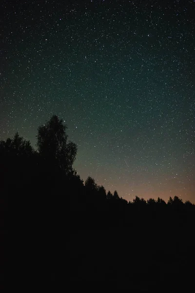 Cielo Nocturno Con Vía Láctea Sobre Bosque Noche Verano — Foto de Stock