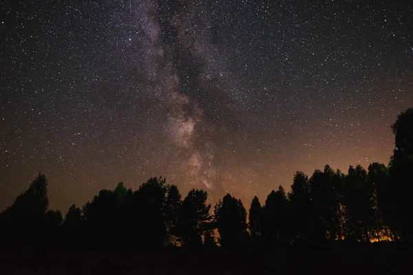 Cielo Nocturno Con Vía Láctea Sobre Bosque Noche Verano — Foto de Stock