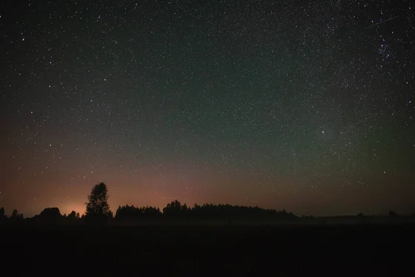 Ormanın üzerinde yıldızlı gökyüzü ve yaz gecesinde uçan meteor.