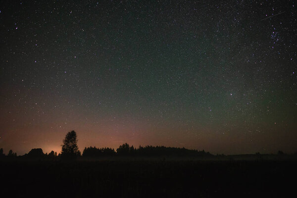 Starry sky over the forest and flying meteor summer night