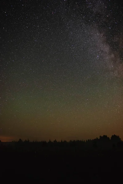 Hvězdná Obloha Nad Lesem Létající Meteor Letní Noc — Stock fotografie