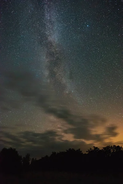 Cielo Nocturno Con Vía Láctea Sobre Bosque Noche Verano — Foto de Stock