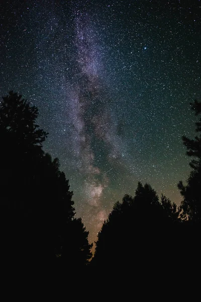 夏の夜の森の上にミルキーな方法で夜空 ストックフォト