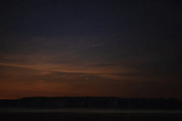 Cielo Estrellado Sobre Bosque Cerca Del Campo Distancia — Foto de Stock