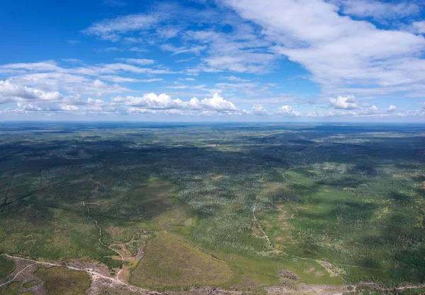 Large Panorama View Height Burned Forest Couple Years Ago Consequences — Stock Photo, Image