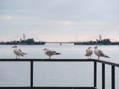 Bakü Azerbaycan-10.12.2020 Yoldaki insanlar Zafer Günü 'ne adanmış geçit töreninde yaklaşan askeri teçhizatı kaldırıyorlar. 10 Aralık 'ta. Karabağ, Azerbaycan 'dır. Kapa çeneni. Geçit 