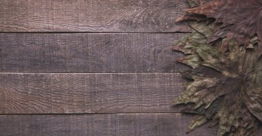 Sonbahar tatili. ahşap arkaplanda