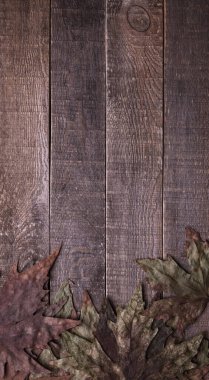 Sonbahar tatili. ahşap arkaplanda