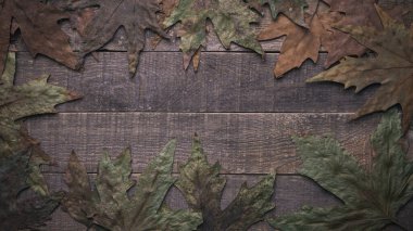 Sonbahar tatili. ahşap arkaplanda