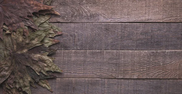 autumn leave. on wood background