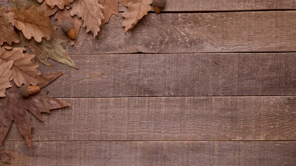 autumn leave. on wood background. autumn background