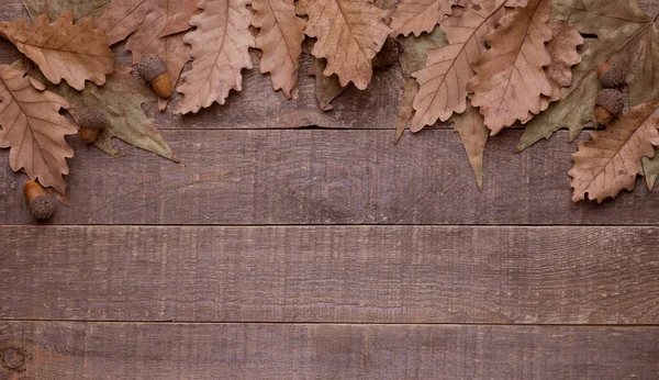 autumn leave. on wood background. autumn background