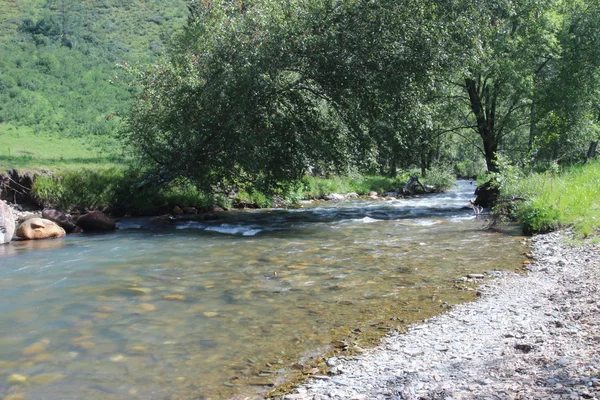 Pequeño río en verano — Foto de Stock