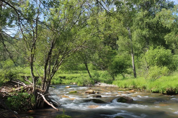 Μικρό ποτάμι το καλοκαίρι — Φωτογραφία Αρχείου