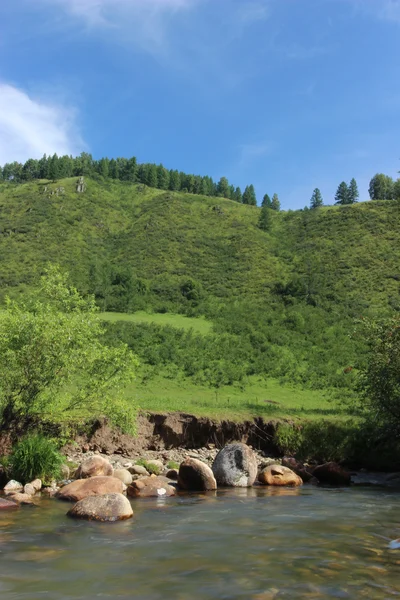 Небольшая река летом — стоковое фото