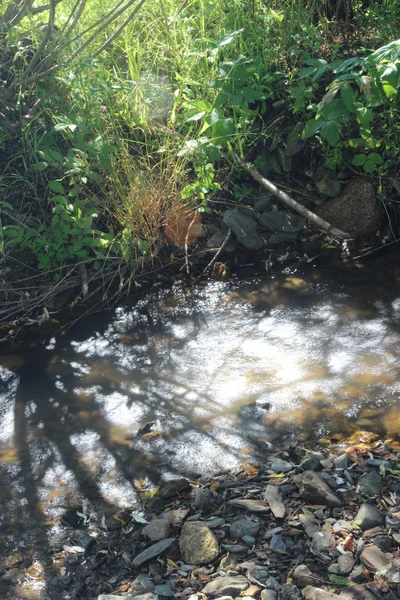 Pequeño río en verano — Foto de Stock