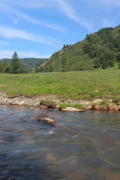 Small River in Summer — Stock Photo, Image