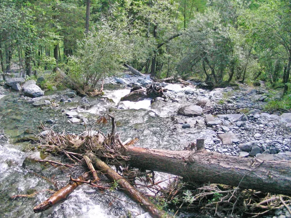 Río de montaña — Foto de Stock