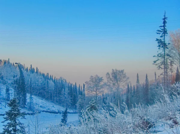 Snowy Winter Forest — Stock Photo, Image