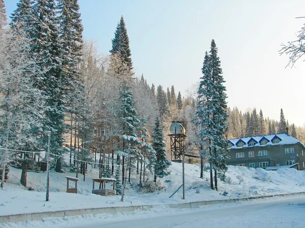 Snødekt vinterskog – stockfoto