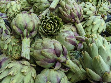 Enginarlar arka planı kapatıyorlar. Doğal enginar çiçekleri vejetaryen taze gıdalar..