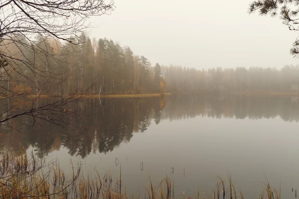 Autumn foggy morning — Stock Photo, Image