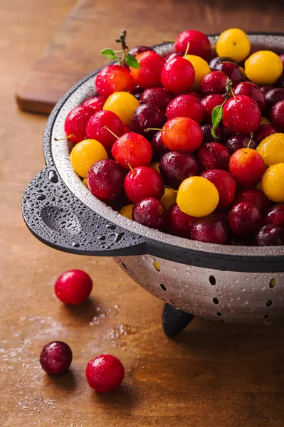 Fresh cherry plums — Stock Photo, Image