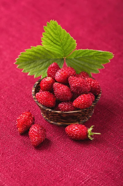 Fresas maduras en un tazón —  Fotos de Stock