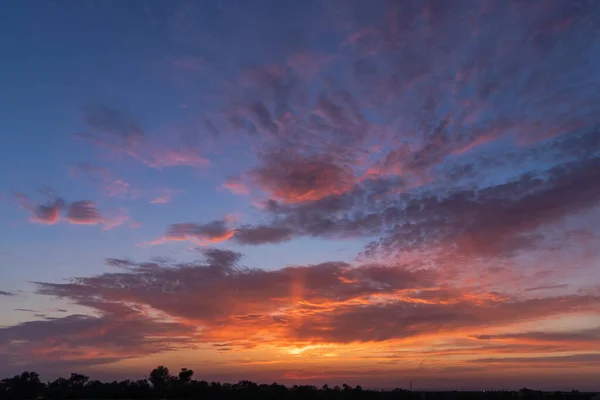 日没後の青空に美しい雲の景色 青の時間だ 水平線上の木々のシルエット — ストック写真