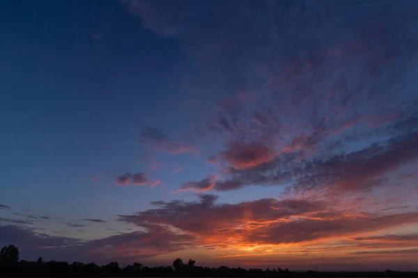 日没後の青空に美しい雲 青の時間だ 水平線上の木々のシルエット — ストック写真
