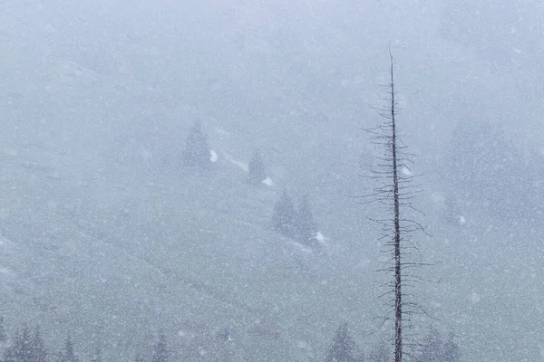 Zware Sneeuw Bergen Aan Rechterkant Van Het Frame Top Van — Stockfoto