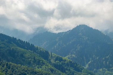 Dağların yamaçlarındaki kozalaklı ormanlar ve onların üzerindeki bulutlar.