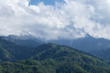 Yeşil tepelerin ardında, bulutlar dağın tepelerini kaplıyor.