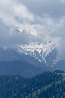 Dağlardaki karlı vadi manzarası. Yamaçlarda kozalaklı ağaçlar