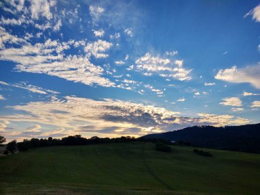 Dağları ve ağaçları olan güzel bir manzara.