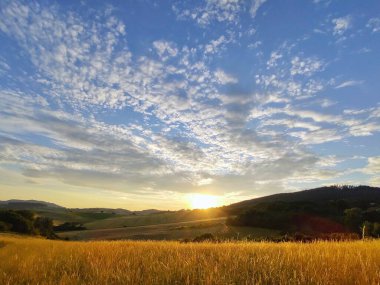 Tarlanın üzerinde güzel bir gün batımı