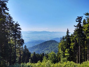 Dağları ve ağaçları olan güzel bir manzara.
